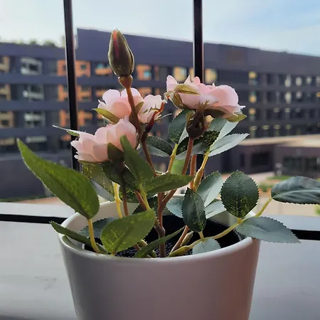 Kalemegdan Riverfront - K-district