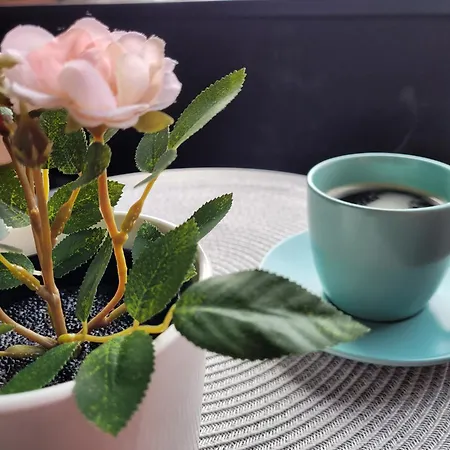 Kalemegdan Riverfront - K-district Apartament *